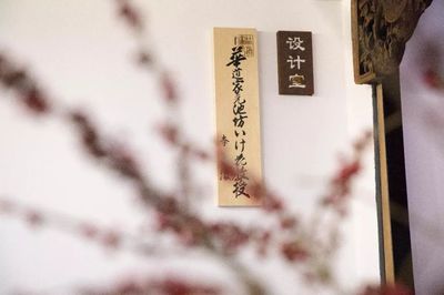 一日僅售五盒！這家空間的高品質茶果子，顏值高到讓人舍不得入口